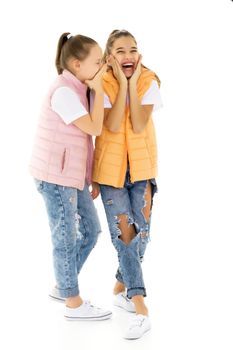 Two girls telling a secret and expressing surprise isolated on white