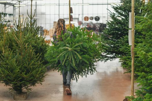 A woman chooses a Christmas tree in the shop.