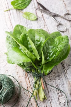 Fresh organic sorrel leaves on old white wooden background. Healthy food concept.