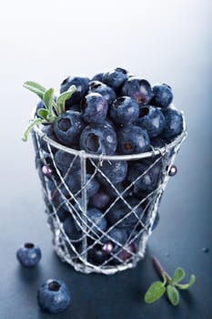 Freshly picked blueberries in metallic cup on blue background. Concept for healthy eating and nutrition with copy space.