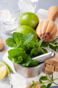 Metal mortar and pestle with fresh mint and ingredients for mojito, caipirinha cocktails and other drinks