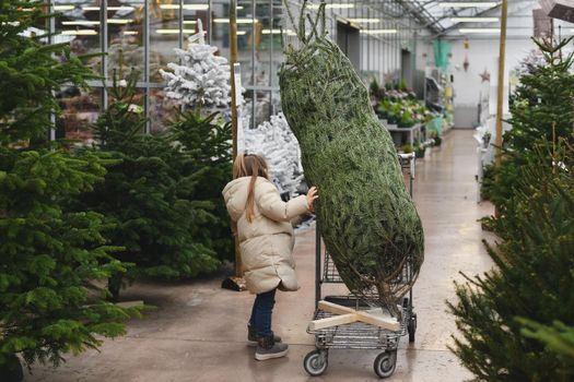 Small girl chooses a Christmas tree in the shop.