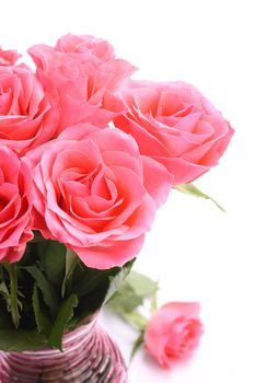 Bouquet of pink roses in vase on the white background