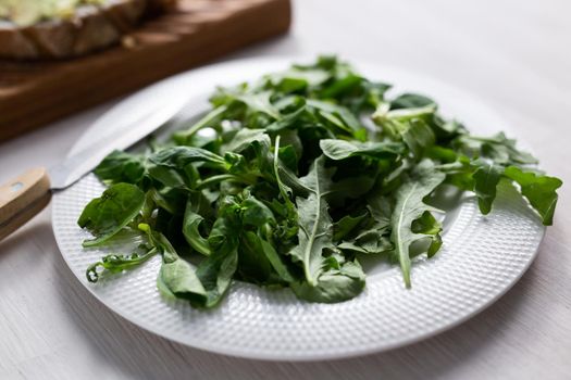 Fresh arugula salad on a plate. Concept of dieting or detox or vegetarian.
