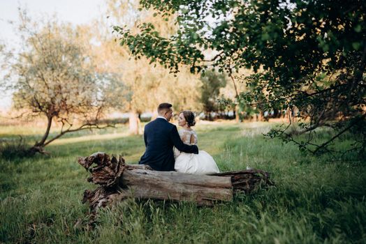 the groom and the bride are walking in the forest near a narrow river on a bright day