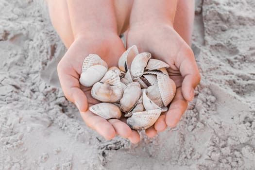 Girl's hands hold a bunch of shells on the beach close up.