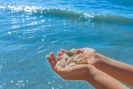 The hands of a young girl hold a pile of shells against the background of the blue sea on the beach close-up.