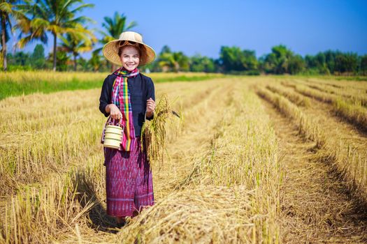 farmer woman with tiffin carrier in rice field, Thailand