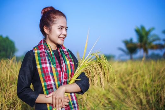 farmer woman holding rice in field, Thailand