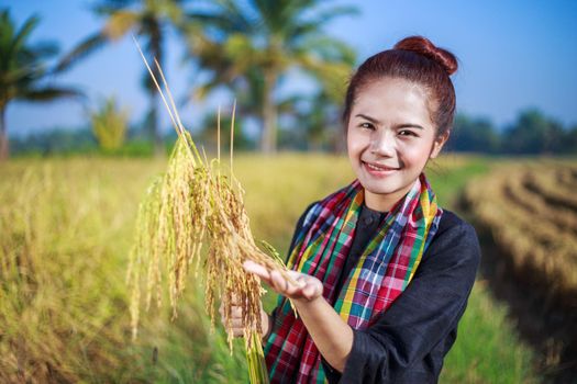 farmer woman holding rice in field, Thailand