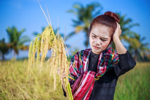 worried farmer woman in rice field, Thailand