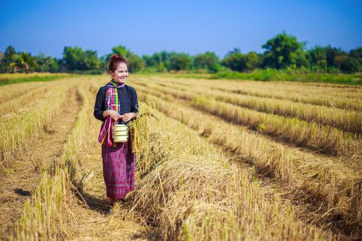 farmer woman with tiffin carrier in rice field, Thailand