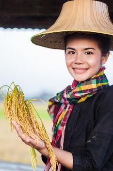 farmer woman holding rice and sitting in cottage at rice field, Thailand
