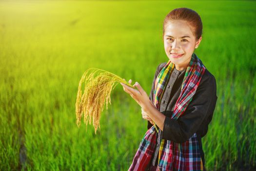 farmer woman holding rice in field, Thailand