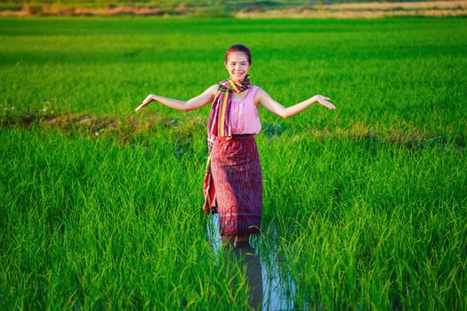 beautiful farmer woman in green rice filed, Thailand