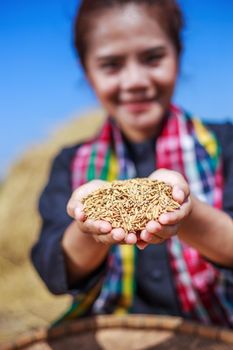 paddy rice in happy farmer woman hand