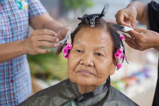 hand of a hairstylist doing a perm rolling the hair of senior woman