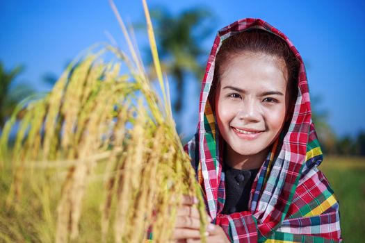 farmer woman holding rice in field, Thailand