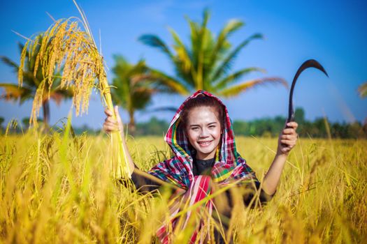 happy farmer woman in rice field, Thailand