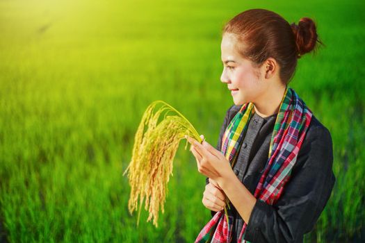 farmer woman holding rice in field, Thailand