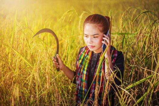 farmer woman calling on the mobile phone in a rice field, Thailand