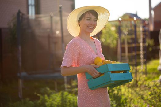 Young caucasian positive woman gardener in hat and pink dress holds box with lemons in her hands on sunny summer day.