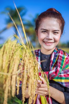 farmer woman holding rice in field, Thailand