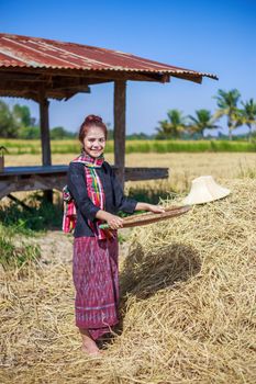 farmer woman threshed rice in field, Thailand