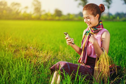 farmer woman using a smart phone in a rice field, Thailand