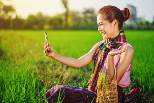 farmer woman using a smart phone in a rice field, Thailand