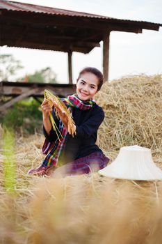 farmer woman holding a rice with the straw in field, Thailand