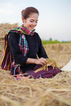 farmer woman holding a rice with the straw in field, Thailand