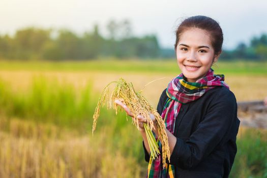 farmer woman holding rice in field, Thailand