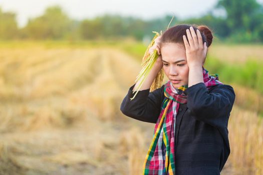 worried woman holding rice in field, Thailand