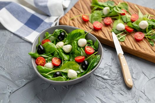 Fresh salad with mozzarella cheese, tomato and spinach. Healthy dieting food