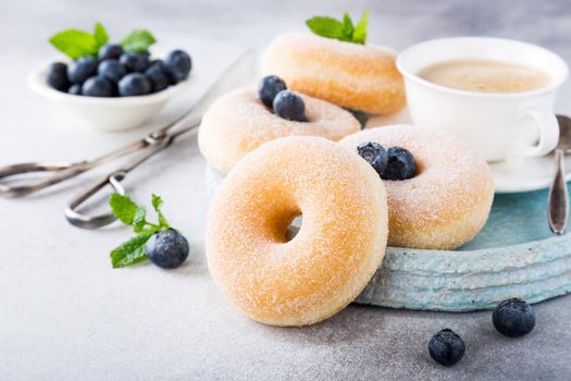 Doughnuts with powdered sugar and fresh blueberries on light gray background. Selective focus. Copy space.