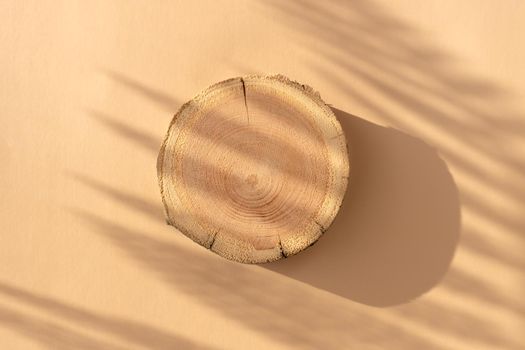 Woodcut lying on a trendy beige background with shadows of fern. A wooden platform with shades for natural cosmetics or products presentation. Wooden tray mockup in the sunlight. Top view