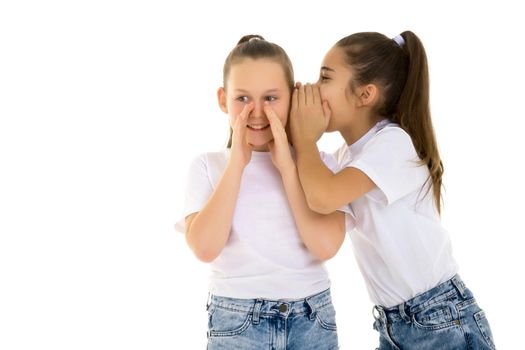 Two girls telling a secret and expressing surprise isolated on white