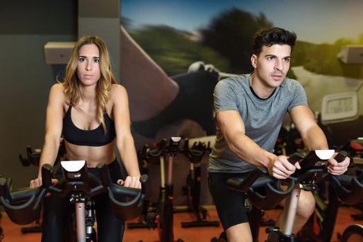 Two people biking in the gym, exercising legs doing cardio workout cycling bikes. Couple in a spinning class wearing sportswear.