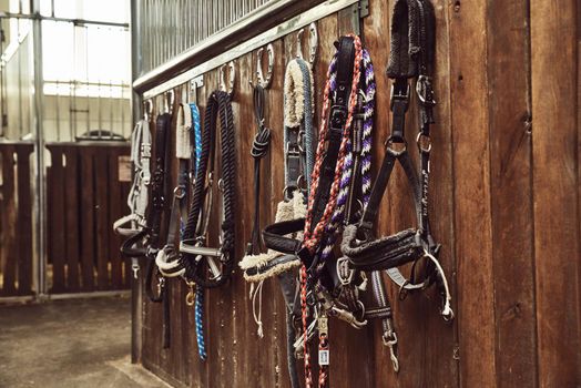 bridles and harnesses for horses hanging on the wall in the stable