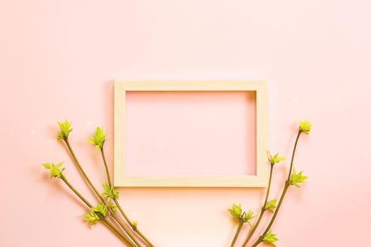 Delicate little leaves from open buds on branches-sprouts on a pink background. Spring, the beginning of a new life, tenderness. Copy space, frame
