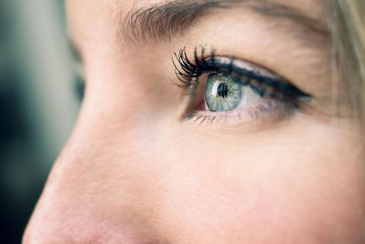 Close-up shot of young woman's eye. Woman with blue eyes.