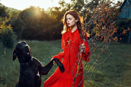 pretty woman in red dress with dog outdoors posing glamor. High quality photo