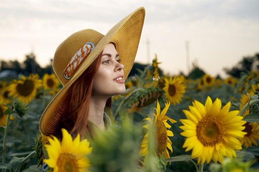 Walk in the sunflower field nature charm outdoor activities. High quality photo