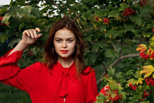 pretty woman in the summer outdoors near the bush. High quality photo