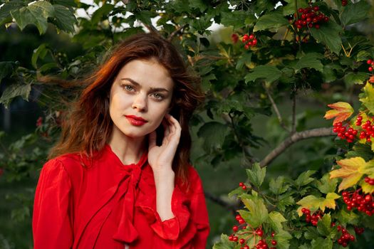 pretty woman in the summer outdoors near the bush. High quality photo