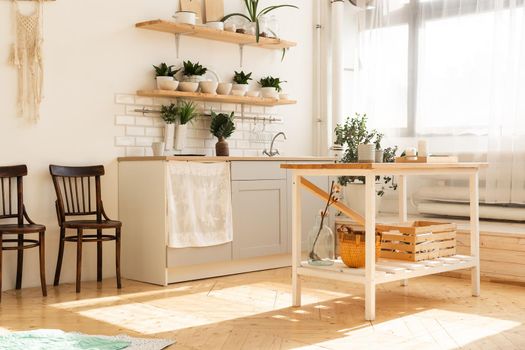 Stylish scandinavian open space with kitchen accessories and plants