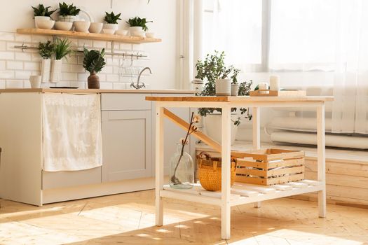 Stylish scandinavian open space with kitchen accessories and plants