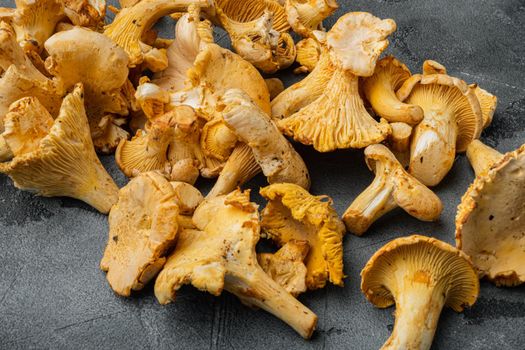 Forest chanterelle mushrooms set, on gray stone table background