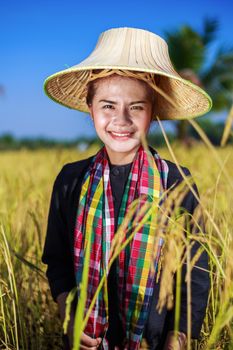 farmer woman in rice field, Thailand